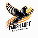 Tarish LOFT