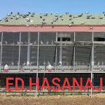 Ed Hasanaj