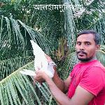 Babu Islam Salim (Kamalapur)