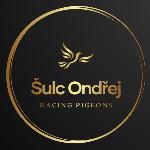 Ondřej Šulc