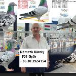 Németh Károly ifj.