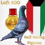 Loft 400
