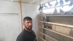 حيدر عريبي