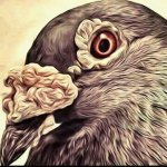 Révay Miroslav st.+ml.