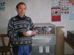 Béder Jozef