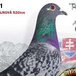 Záchenský František