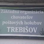 Zoltán Erdelyi