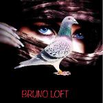 BRUNO PRELICH - BRUNO LOFT