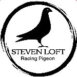 STEVEN COSTA