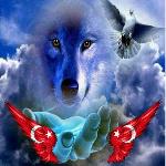 ERiSKE Metin