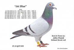 IF-2016-QCP-635