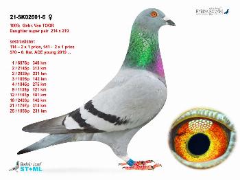 SK-2021-02601-6