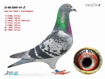 SK-2021-02601-54